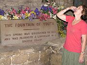 Fountain of Youth